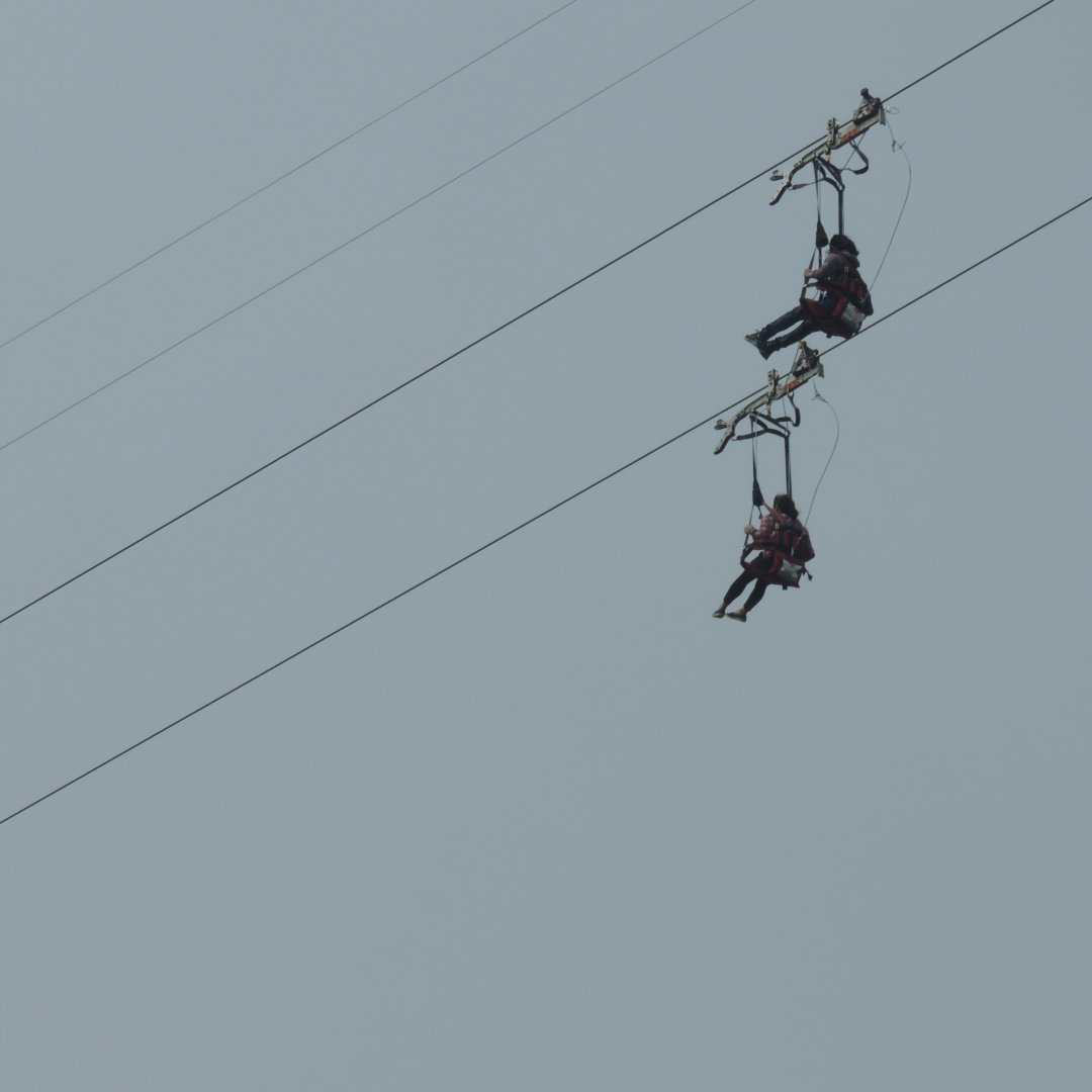 춘천 남이섬 핫플 관련 사진