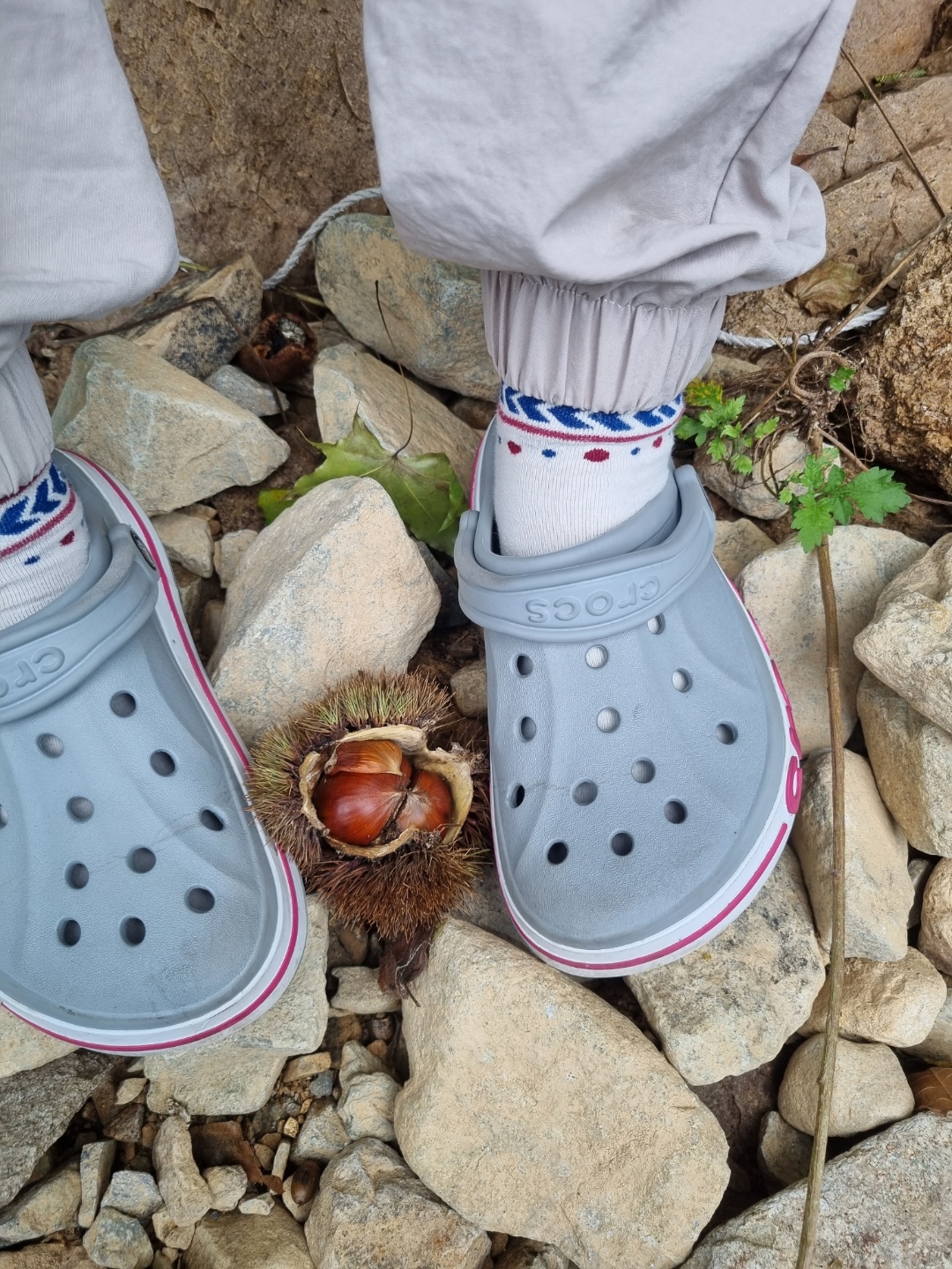 사과 향기 캠핑장