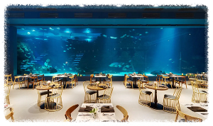 세부 오션 파크