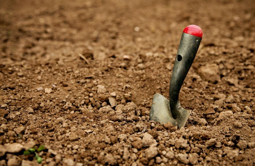 텃밭에서 사용하는 모종삽