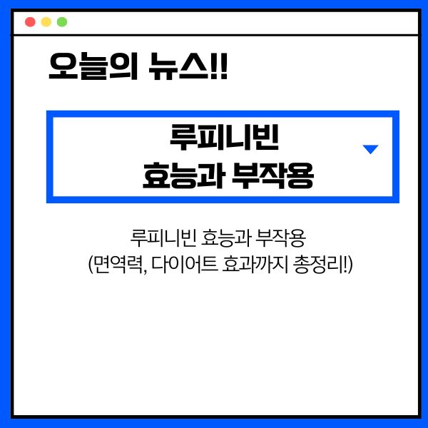 루피니빈 효능과 부작용 (면역력, 다이어트 효과까지 총정리!)