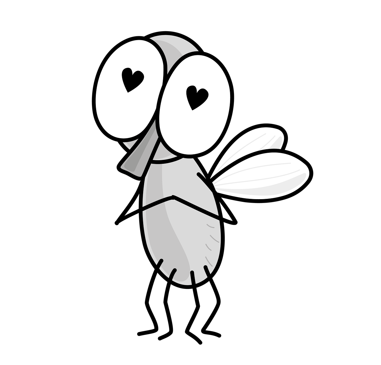 러브 버그 퇴치방법