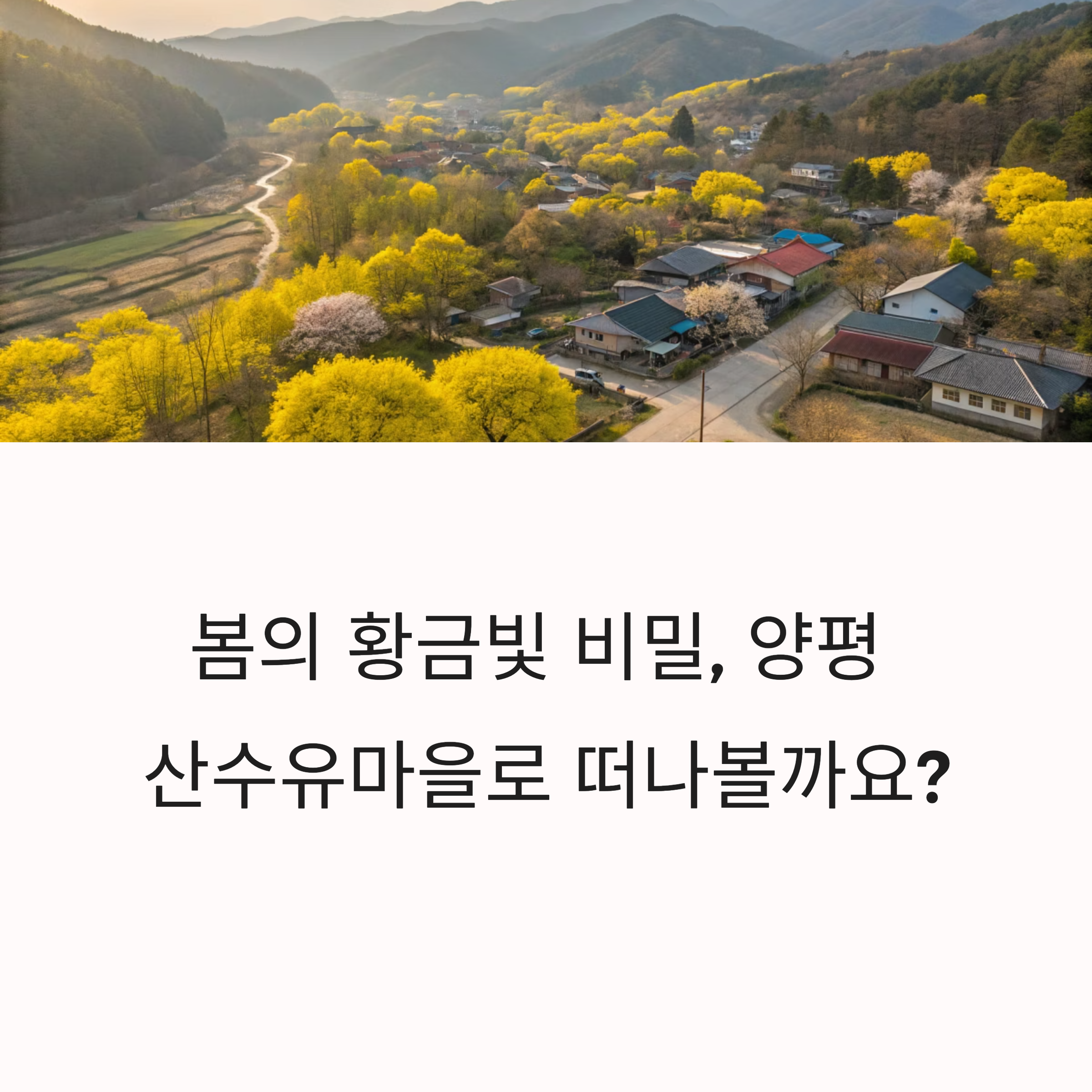 양평 산수유마을