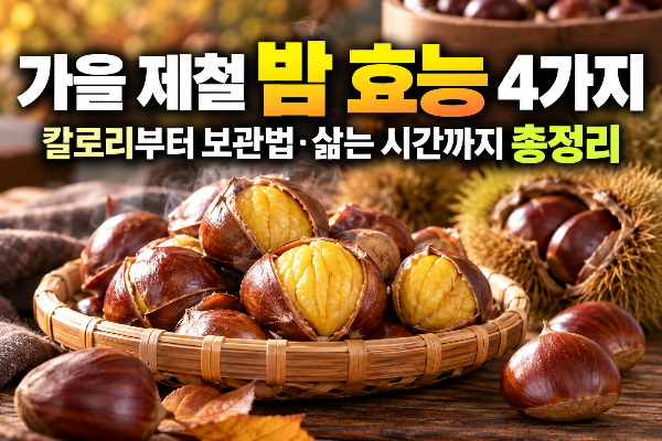 가을 제철 밤 효능 4가지｜칼로리부터 보관법&middot;삶는 시간까지 총정리