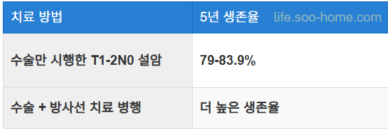치료 방법별 생존율