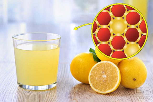 간 해독제 음료 추천 레몬즙 간 이식 전문의