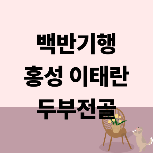 백반기행 홍성 두부전골 이태란