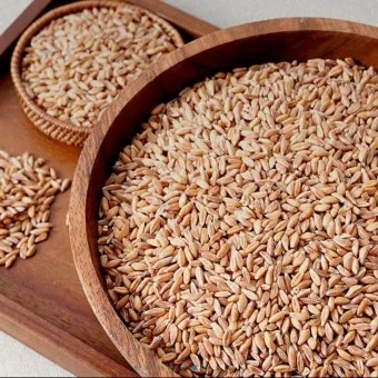 파로 곡물 효능 부작용 먹는 방법_22