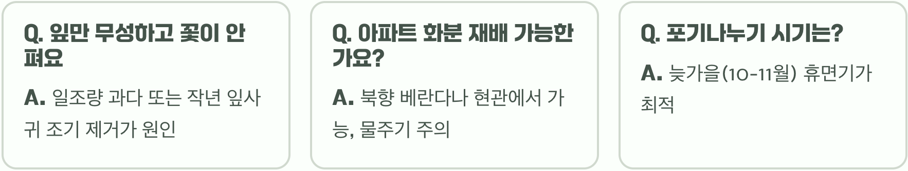 은방울꽃 키우기, 뿌리 심는 법부터 월동까지 A to Z