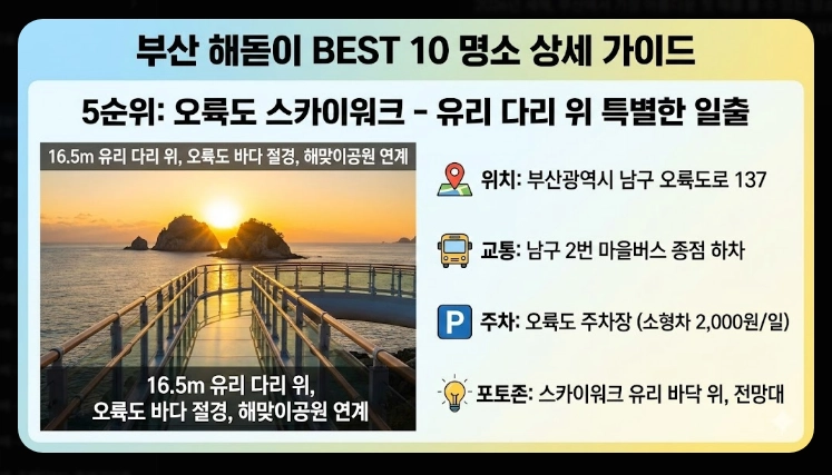 부산 해돋이 명소 2026 BEST 10 총정리