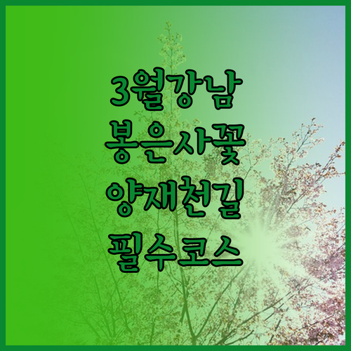 3월 강남 나들이 정보 봉은사 홍매화..