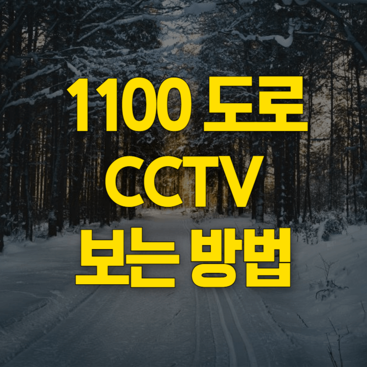 1100도로-cctv-대표사진