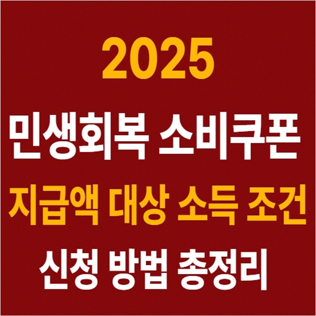 2025 민생회복 소비쿠폰 지급액 대상 소득 조건 신청 방법 총정리