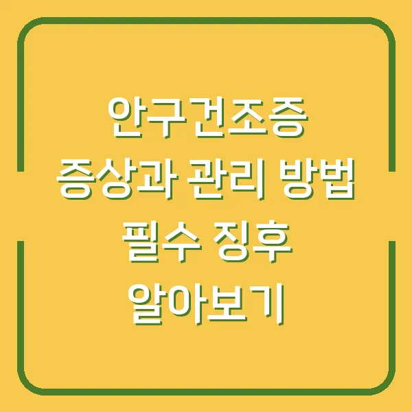 안구건조증 증상과 관리 방법 필수 징후 알아보기