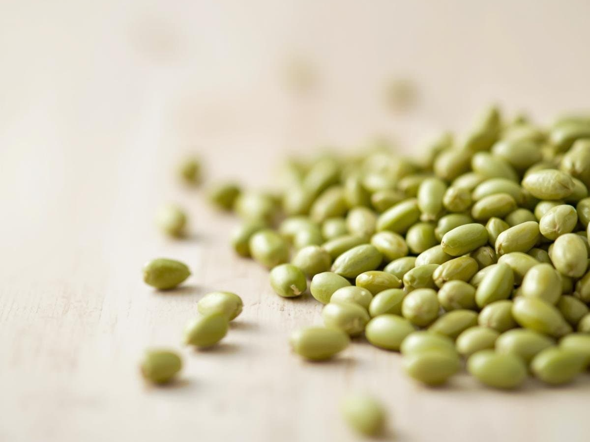 녹두의 당뇨 예방