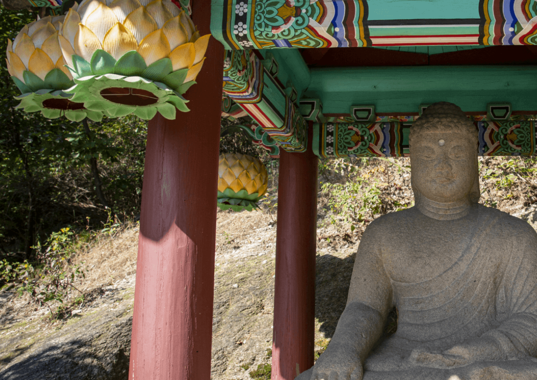 청와대 관람 신청