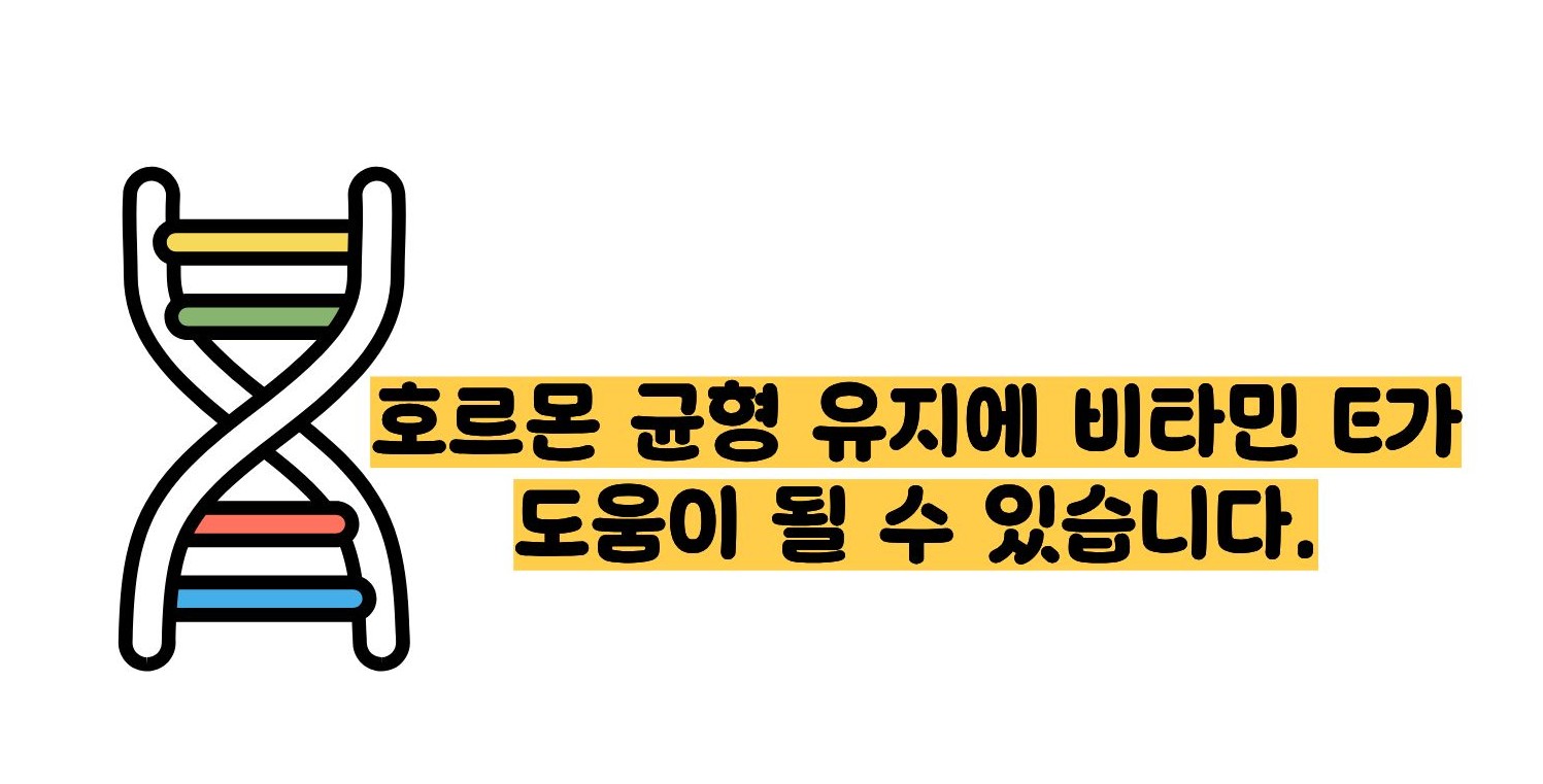비타민e의 효능