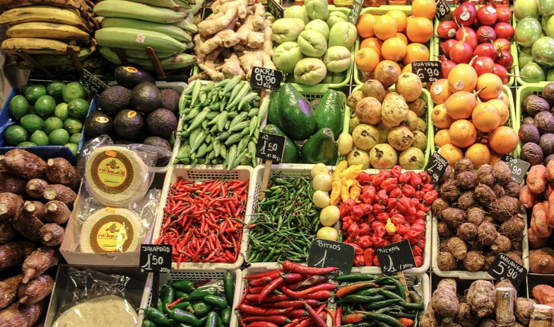 제철 채소 그림