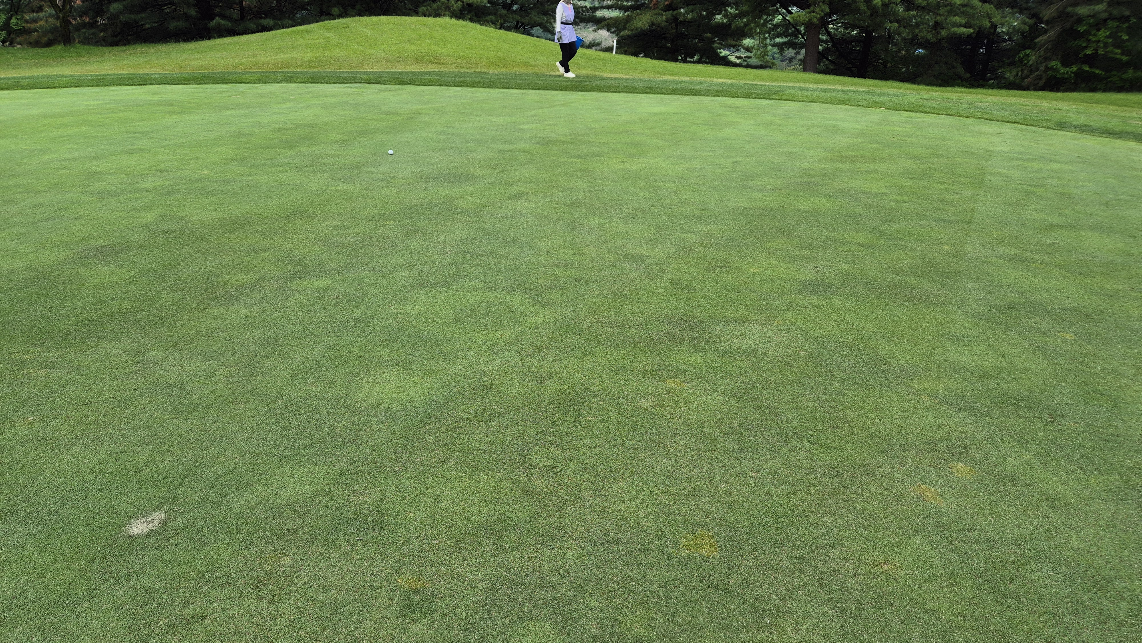 파크밸리gc 라운드 후기