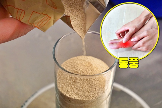 맥주 효모 효능 부작용, 통풍 고혈압, 질환별 피해야할 건강식품,건강,팁줌 매일꿀정보