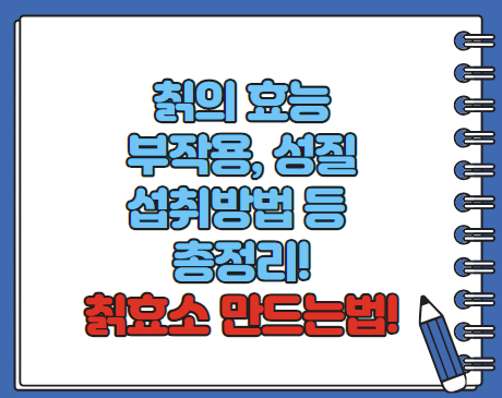 칡의 효능 부작용 섭취방법 칡효소 만드는법 총정리