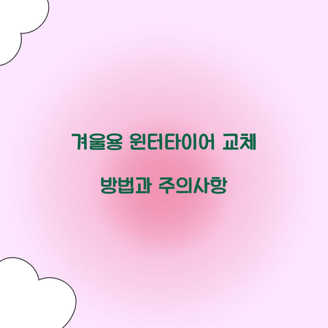 겨울용 윈터타이어 교체