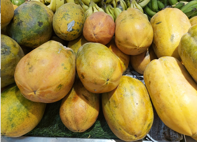 파파야 효능 면역력 강화