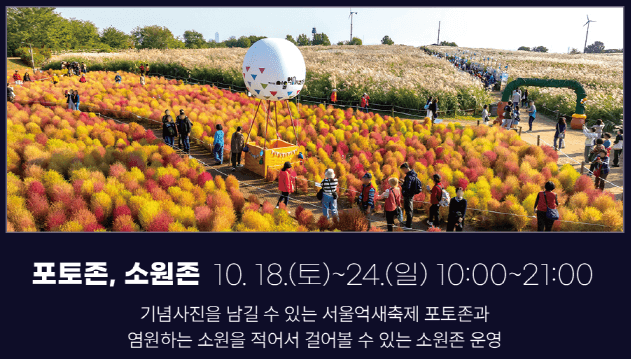 가을 감성 폭발! 제24회 서울억새축제 일정&middot;볼거리&middot;야경 포인트 정리