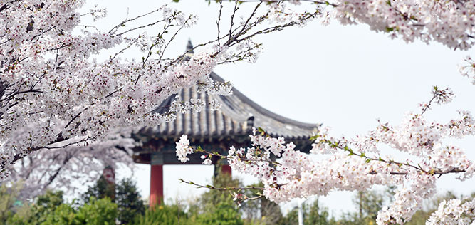 2025 목포항구축제&amp;#44; 바다와 맛&middot;흥&middot;낭만!