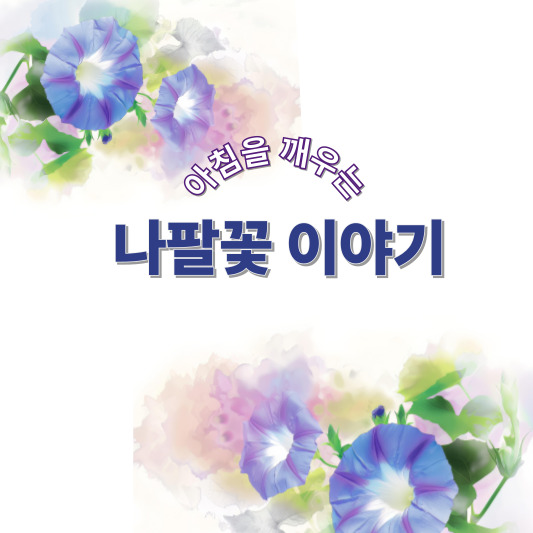 나팔꽃 이야기 - 꽃말, 특징, 이름 유래, 재배 방법