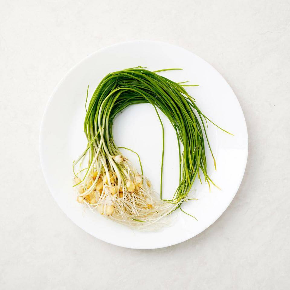 봄나물 종류와 효능 BEST6