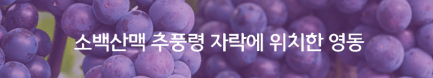 소백산맥 추풍령