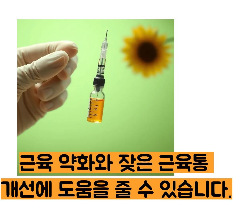 비타민d주사 효능