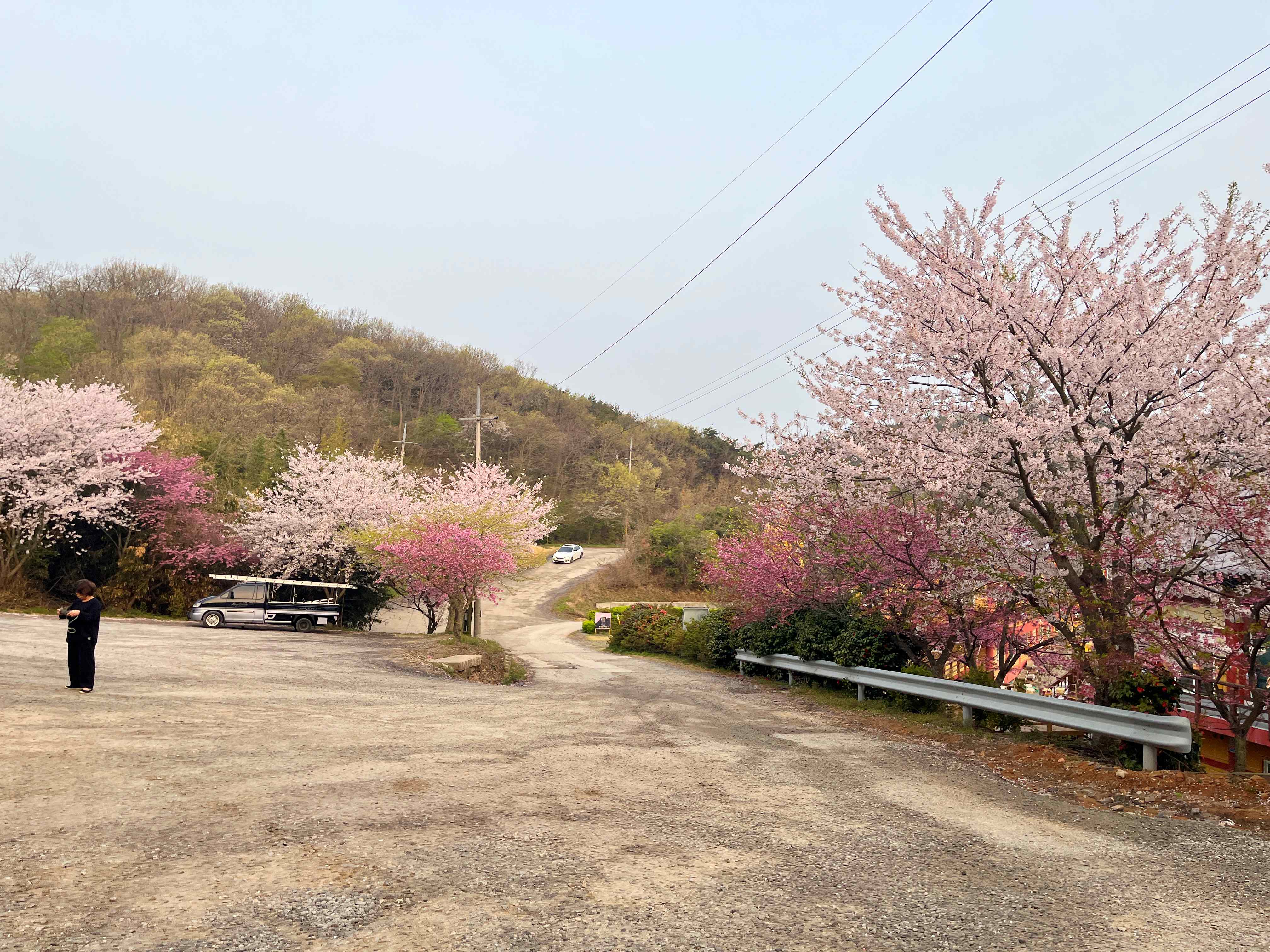 태안 안면암