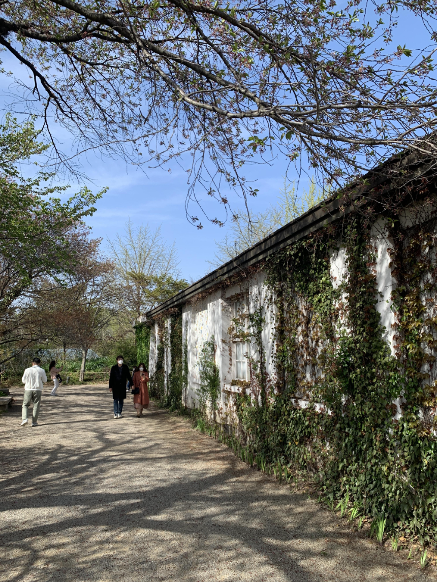 폐교를 리모델링한 당진 아미미술관