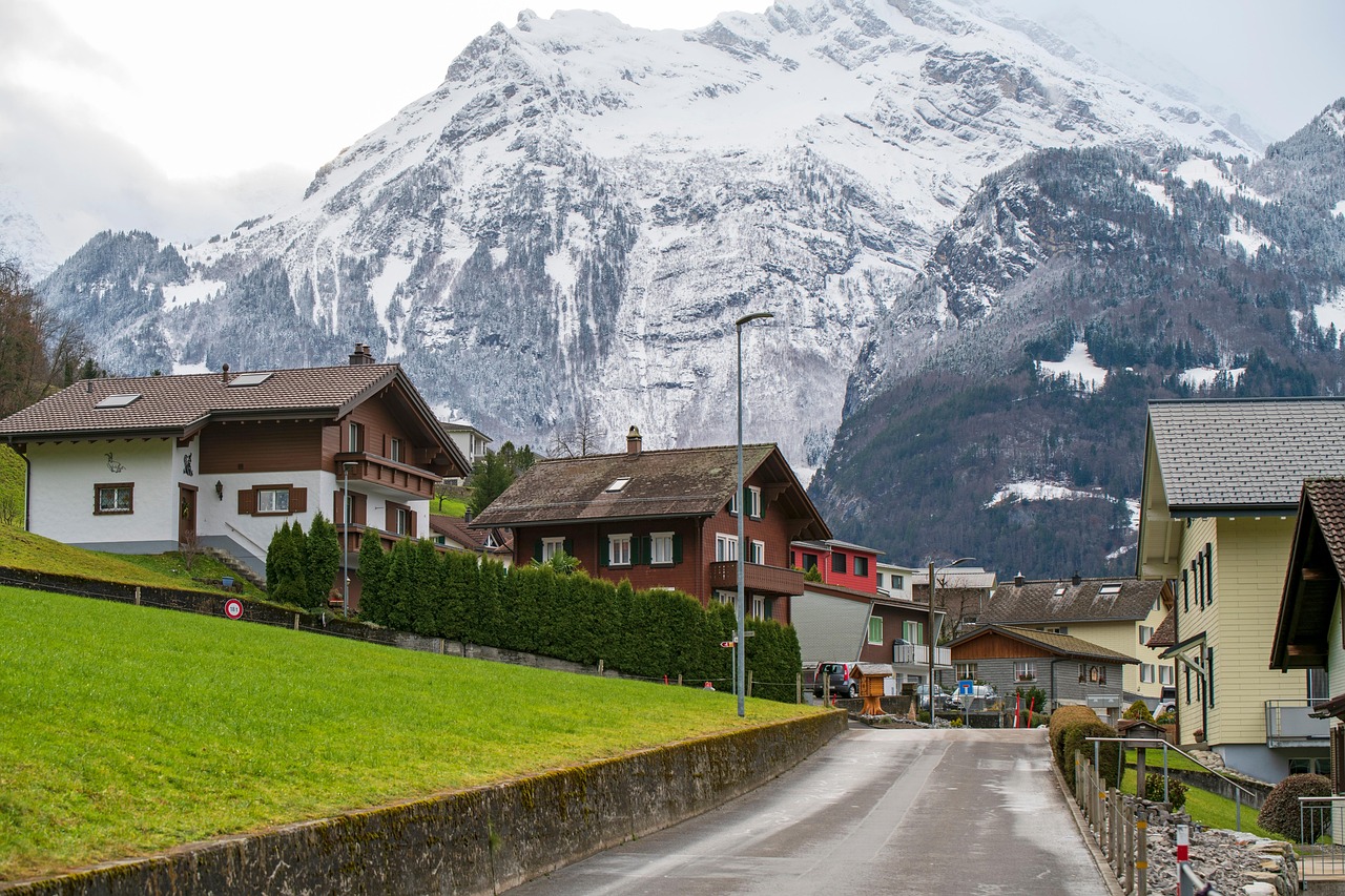 스위스 마운틴 뷰 이미지