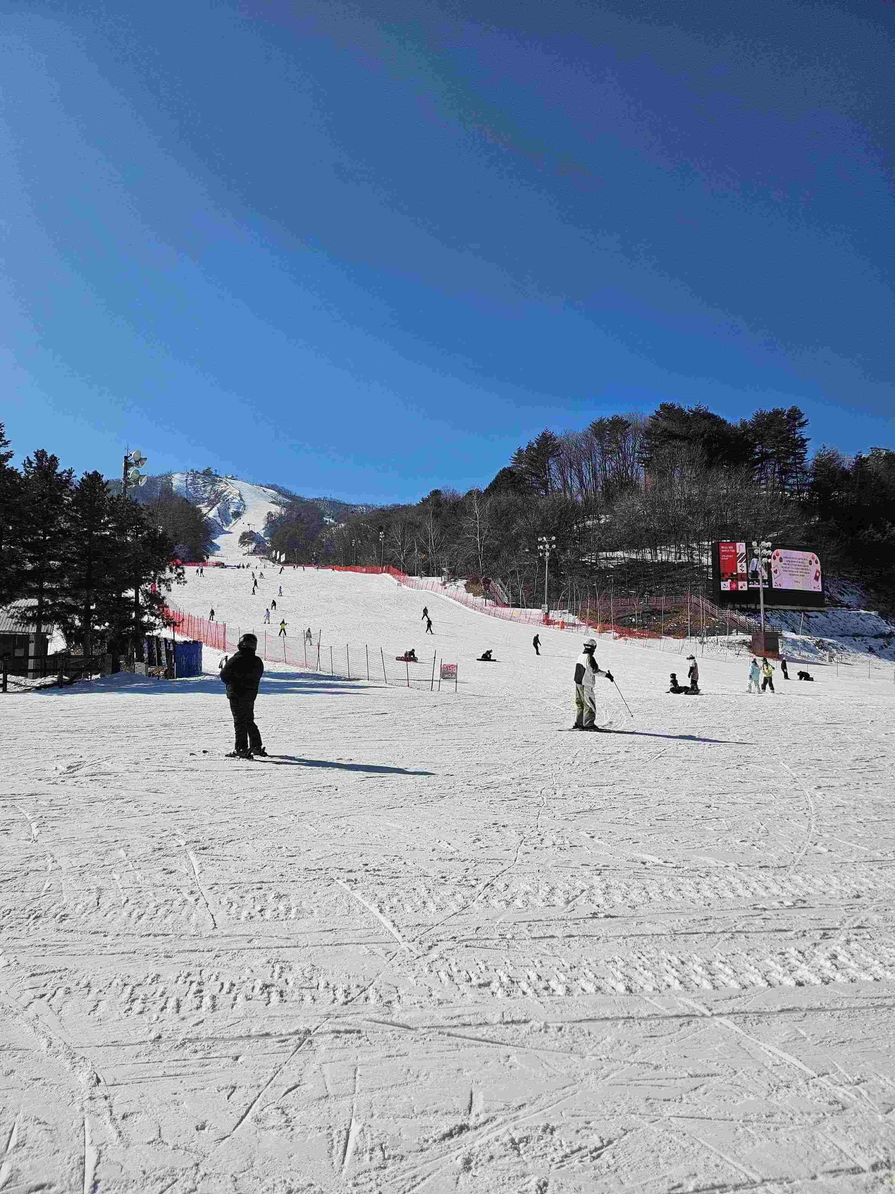 평창 휘닉스 파크 스키장 - 50대가 즐기기 좋은 스키 여행지