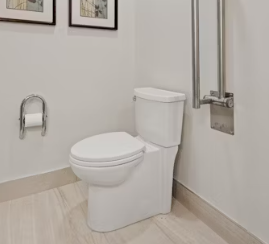 만성 방광염 증세 증상 원인 재발방지법