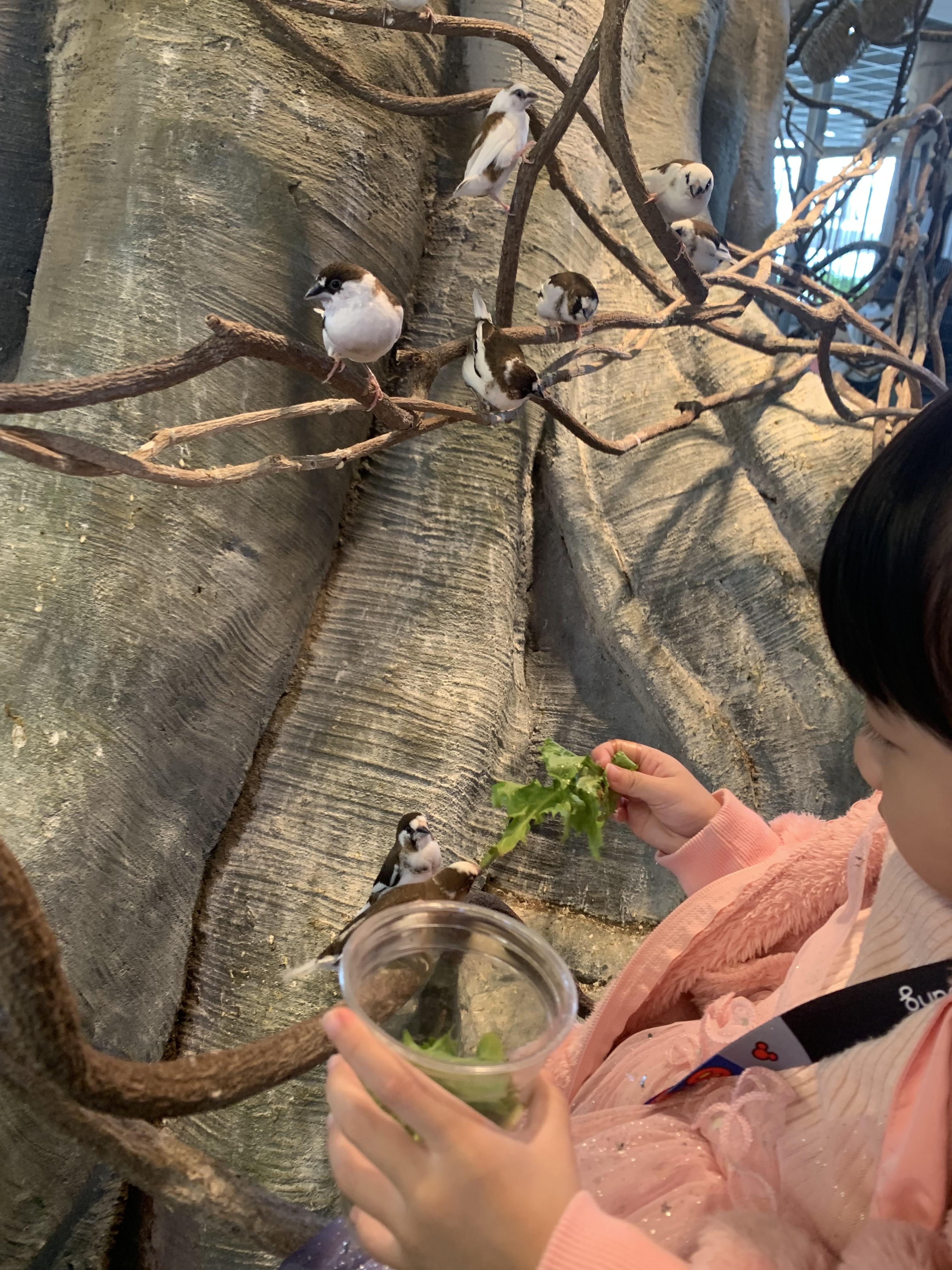 오산버드파크 할인 입장료 및 주차장 가족 여행 후기