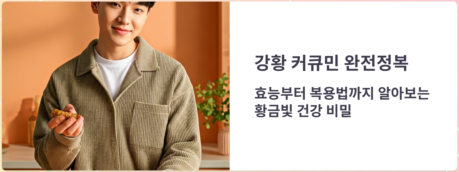 강황 커큐민 효능 효과, 부작용, 가격, 복용후기 총정리!