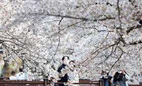 숙박세일페스타