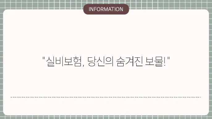 kb손해보험 실비보험 상품군