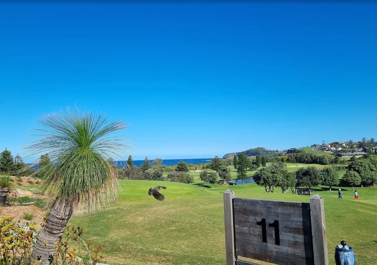 Sydney - Mona Vale Glof club