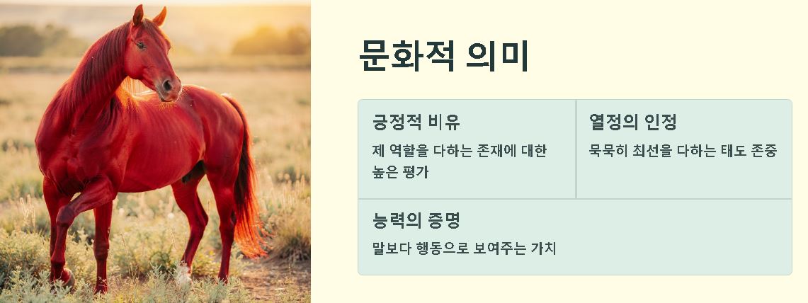 적토마 뜻 역사 의미 유래