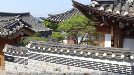 서울 남산공원의 벚꽃 명소 가이드