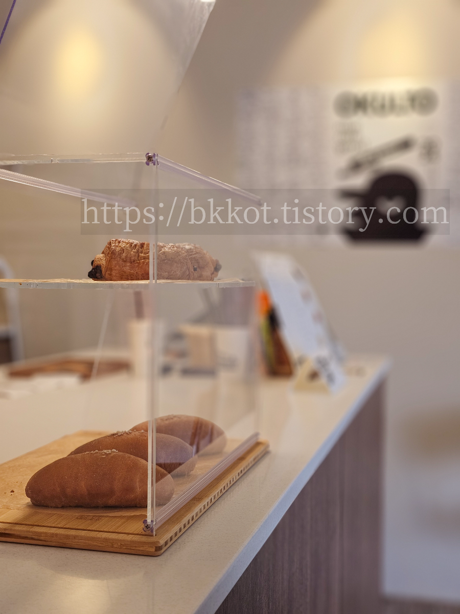 용인 수지 오쿨토