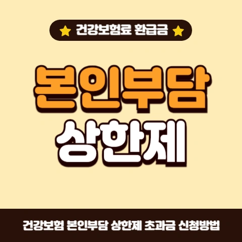 건강보험료-본인부담상한제-초과금-환급-지급-일정-신청방법