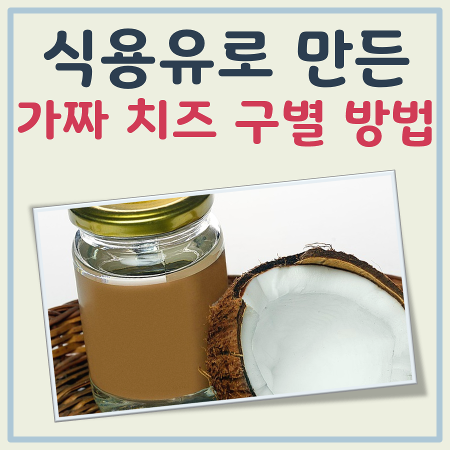 가짜 치즈 구별법