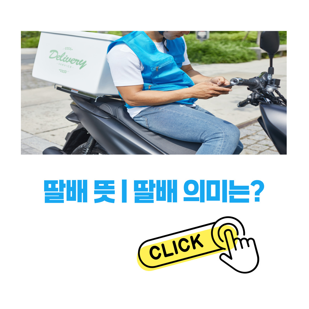 딸배 뜻