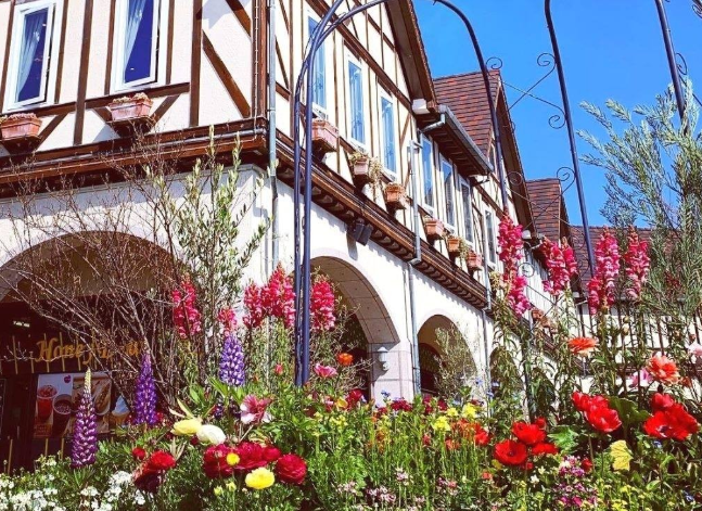 간사이조이패스 허브정원